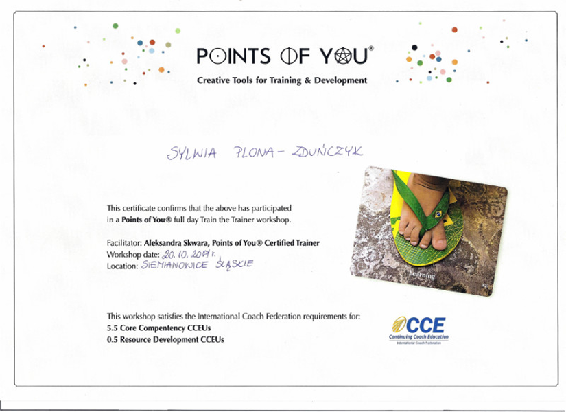 13 Train the Trainers Points of You