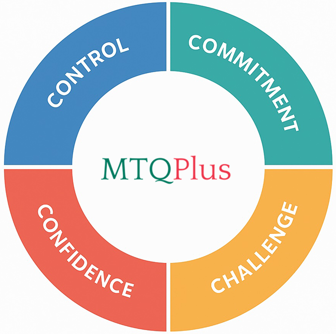 MTQ Plus - wykres kołowy